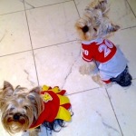 Toni’s Dogs Appear on DFW Style Daily for National Dress Up your Pet Day!