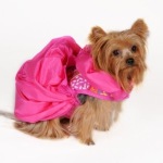 January 14 is National Dress Up Your Pet Day!