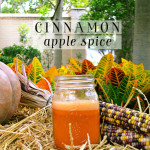Juice: Cinnamon Apple Spice
