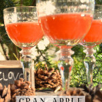 Juice: Cran-Apple Clove