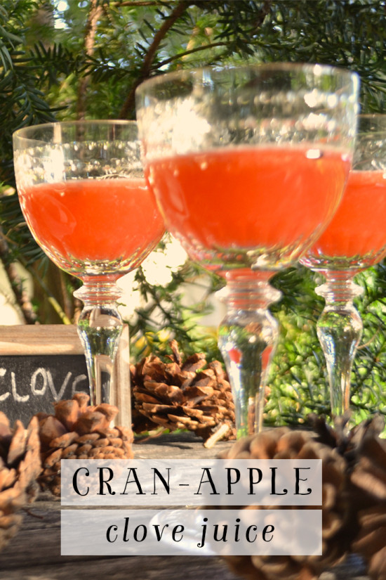 Cran-Apple Clove Juice | Model Behaviors