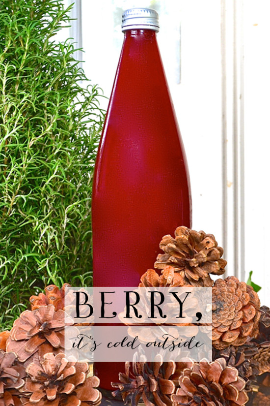 Berry and Beet Juice Recipe | Model Behaviors