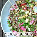 Vegan Quinoa Pasta Salad
