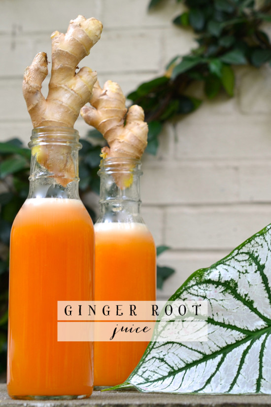 Ginger Root Juice | Model Behaviors