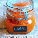Introducing Solids into a Baby’s Diet: Carrots