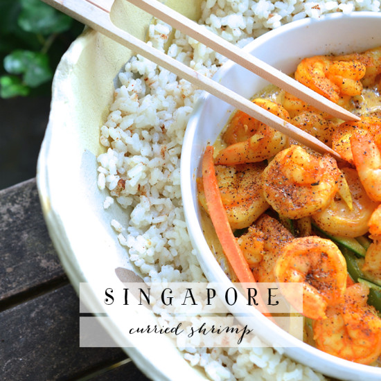 Singapore Curried Shrimp | Model Behaviors