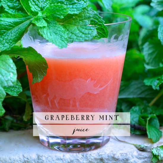 Grapeberry Mint Juice | Model Behaviors