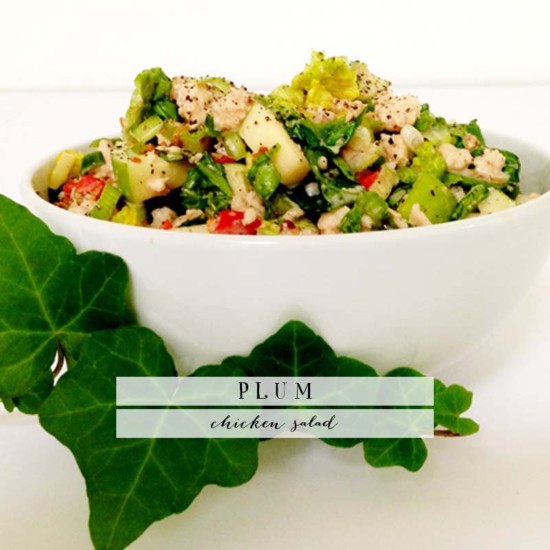 The Monday Menu Revisited: Plum Chicken Salad