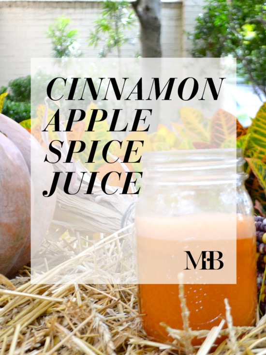 The Monday Menu Revisited: Cinnamon Apple Spice Juice | Model Behaviors